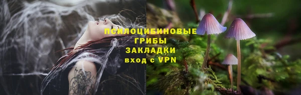 спиды Богородск