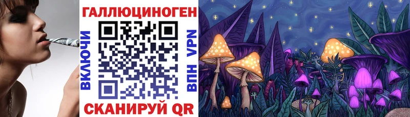 Купить закладки  Белогорск  Псилоцибиновые грибы мицелий 