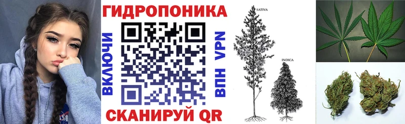 Купить закладки Белогорск Шишки марихуана сатива